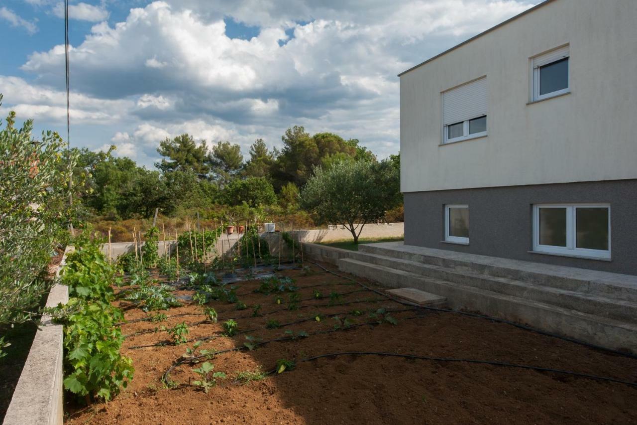 Villa Karla Debeljak - Zadar Buitenkant foto